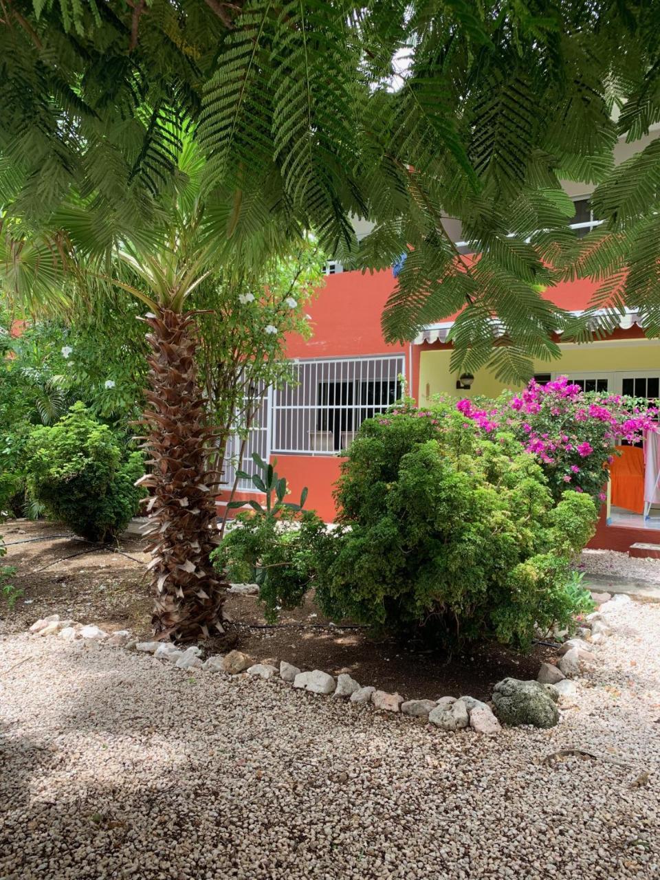 Bon Bini Na Curacao Appartement Willemstad Buitenkant foto